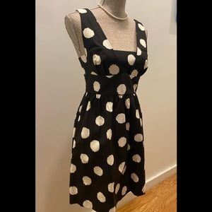 Ann Taylor Loft Petite Polka Dot Dress NWT